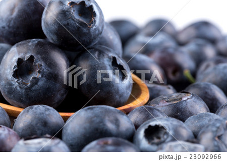Blueberries on white background 23092966