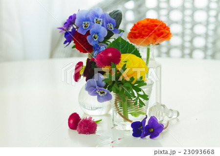 Colorful cut flowers Colorful cut flowers 23093668