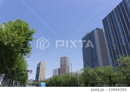 東京都市風景 再開発された市ヶ谷 飯田橋 快晴 新緑 緑 春 超高層ビル マンション 2016年 東京都市風景 再開発された市ヶ谷 飯田橋 快晴 新緑 緑 春 超高層ビル マンション 2016年 23094283