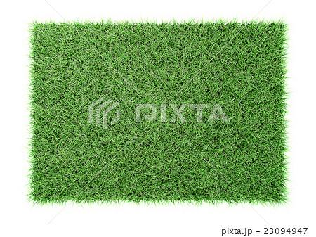 芝 真上 切り抜き 白背景 のイラスト素材