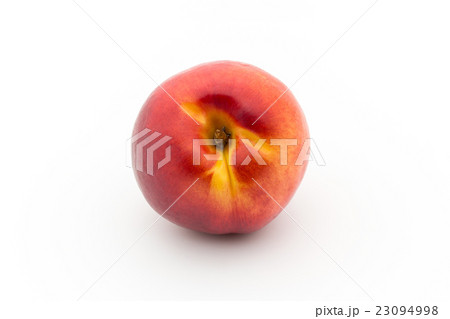 イエロー・ネクタリン(品種:レッド・ライオン):Red Lion Nectarine イエロー・ネクタリン(品種:レッド・ライオン):Red Lion Nectarine 23094998