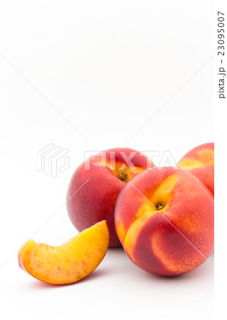 イエロー・ネクタリン(品種:レッド・ライオン):Red Lion Nectarine イエロー・ネクタリン(品種:レッド・ライオン):Red Lion Nectarine 23095007