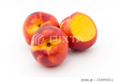 イエロー・ネクタリン(品種：レッド・ライオン):Red Lion Nectarine 23095011