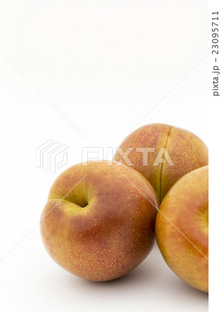 プルオット(品種:不明): Pluot プルオット(品種:不明): Pluot 23095711