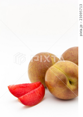 プルオット(品種:不明): Pluot プルオット(品種:不明): Pluot 23095713