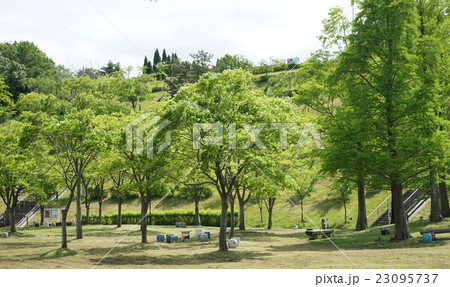 陶芸公園 緑の多い公園 陶芸公園 緑の多い公園 23095737