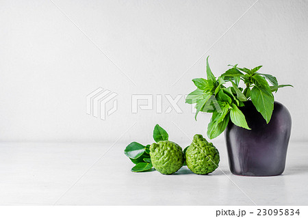 Sweet Basil Leaf in vase and Bergamot Sweet Basil Leaf in vase and Bergamot 23095834