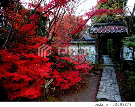 金福寺 金福寺 23095873