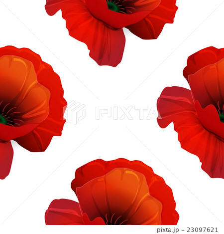 Poppy seamless pattern 23097621