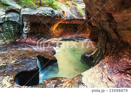 Canyon in Zion 23098879