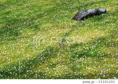 花筵の写真素材