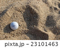 砂浜とゴルフボール 23101463