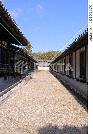 法隆寺：聖霊院（左手前）、東室（左奥）、妻室（右） 23101676