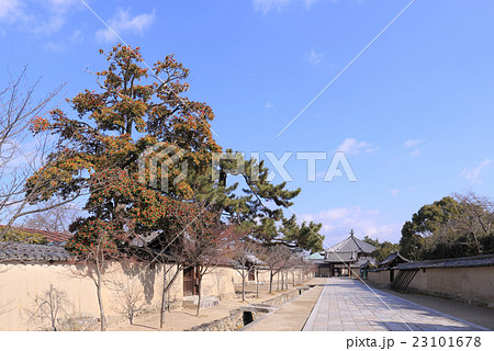 法隆寺西院伽藍 東大門から遠望する東院伽藍「夢殿」（右手は若草伽藍跡） 23101678