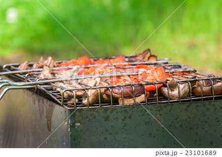Delicious grilled vegetable Delicious grilled vegetable 23101689