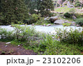 キルギスの森と川 23102206