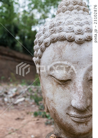 buddha statue in wat umong, chiang mai 23102876