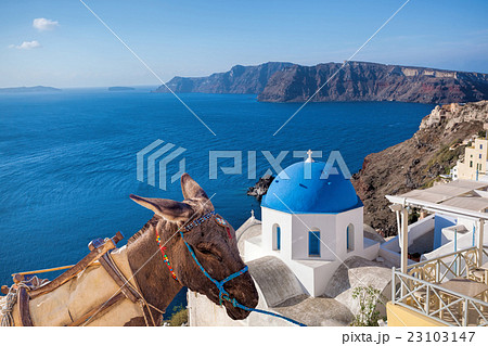 Santorini island with donkey in Oia village, Greec Santorini island with donkey in Oia village, Greec 23103147