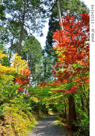 京都　猿丸神社 23104349