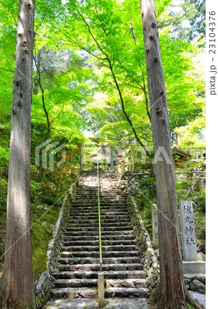 京都 猿丸神社 京都 猿丸神社 23104376