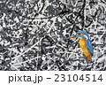 Oil Painting of a Kingfisher 23104514