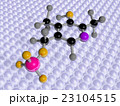 Molecular Science Vitamin B6 23104515