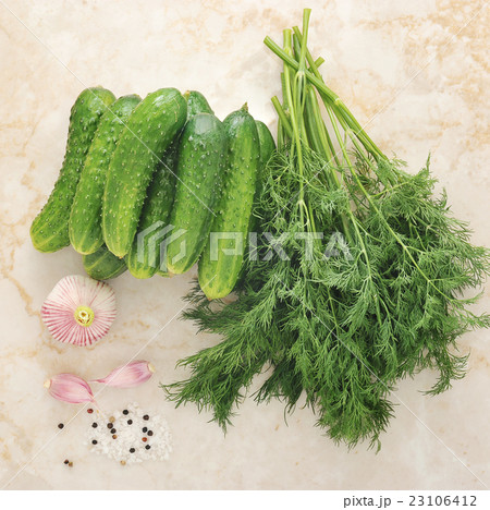 Set to pickling cucumbers, young cucumber, dill Set to pickling cucumbers, young cucumber, dill 23106412