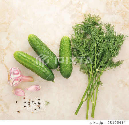 Set to pickling cucumbers, young cucumber, dill 23106414