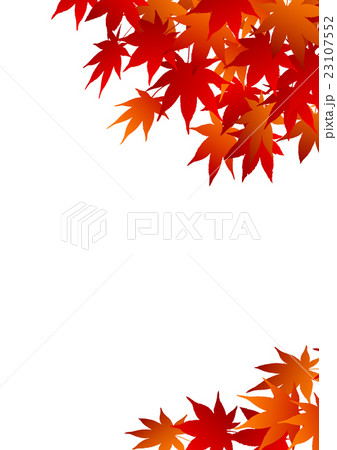 紅葉の背景 紅葉の背景 23107552