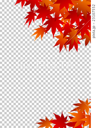 紅葉の背景 紅葉の背景 23107552