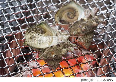 サザエつぼ焼き 23107895