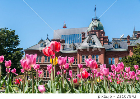 旧赤レンガ庁舎 23107942