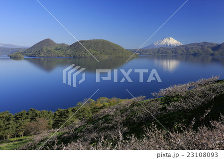 梅林と洞爺湖と羊蹄山③ 23108093