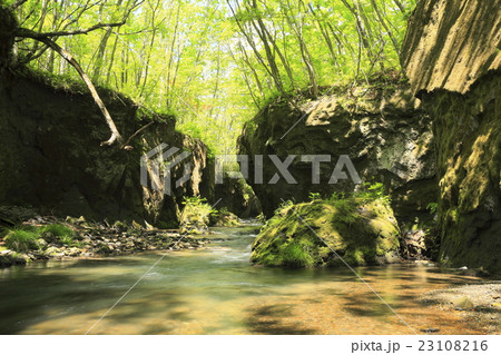 樽前ガロー② 樽前ガロー② 23108216