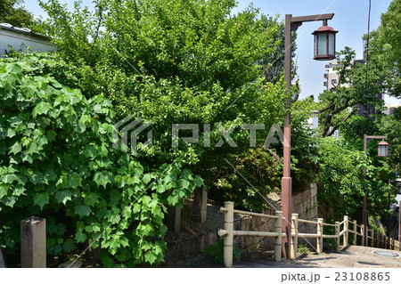 初夏の天王寺　口縄坂 23108865