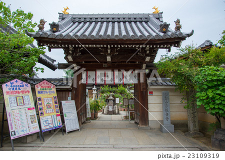 おふさ観音 23109319