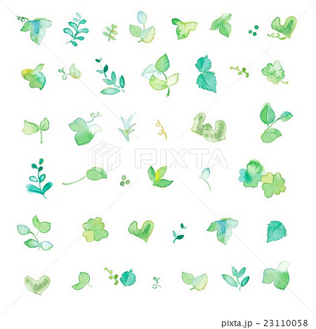 新緑、パーツ 新緑、パーツ 23110058