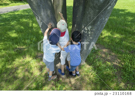新緑の公園で虫を探す小学生たちの後ろ姿 23110168