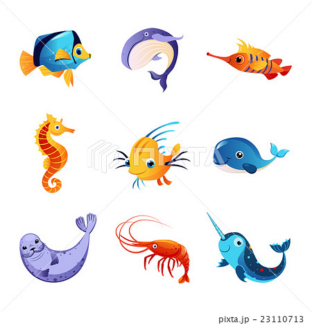 Colorful Sea Animals Set 23110713