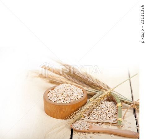 organic barley grains 23111326