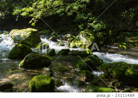 愛媛県西予市　桂川渓谷 23111489
