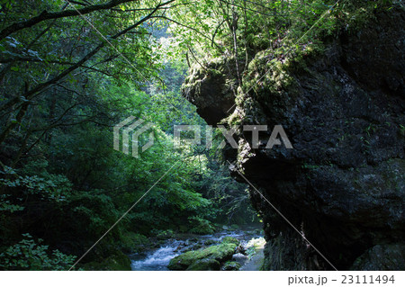 愛媛県西予市　桂川渓谷 23111494