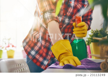 woman makes cleaning woman makes cleaning 23113249