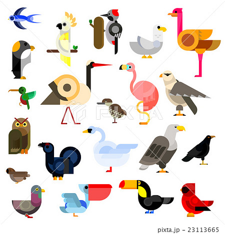 Wild, aquatic, tropical and urban birds flat icons 23113665