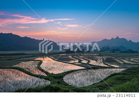 早朝の田染荘 23114011