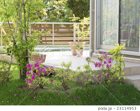 住宅　新築住宅　庭　植栽　テラス　イメージ　緑　花　芝生 23114953