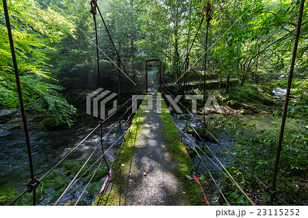 愛媛県西予市　桂川渓谷 23115252