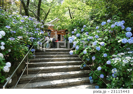 高幡不動尊(大師堂) 高幡不動尊(大師堂) 23115443