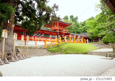 春日大社 本殿 春日大社 本殿 23115465