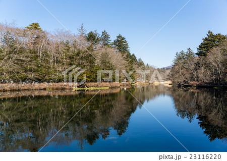 Winter landscape Winter landscape 23116220